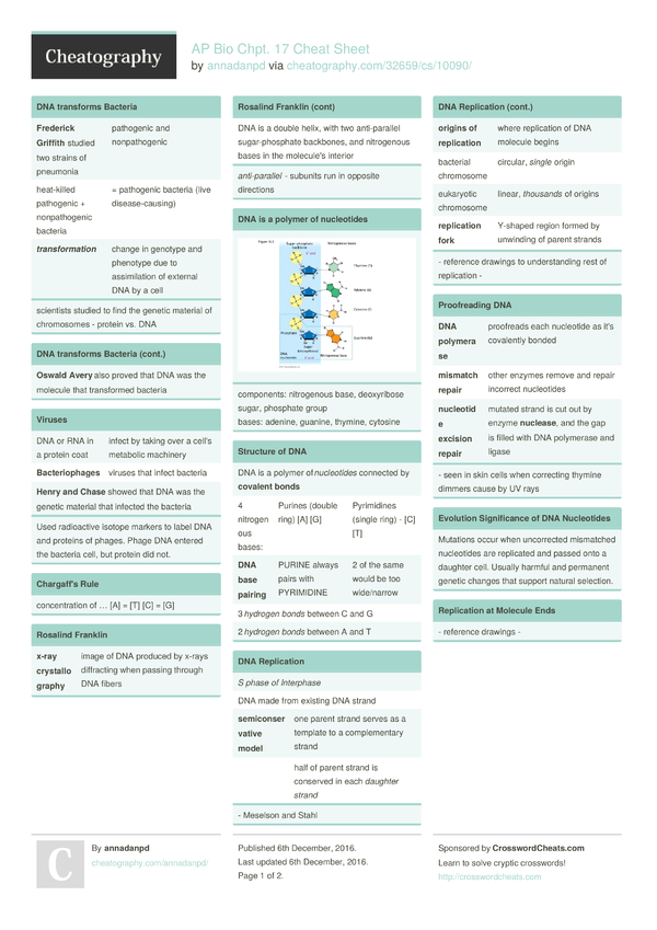 AP Bio Chpt. 17 Cheat Sheet by annadanpd - Download free from
