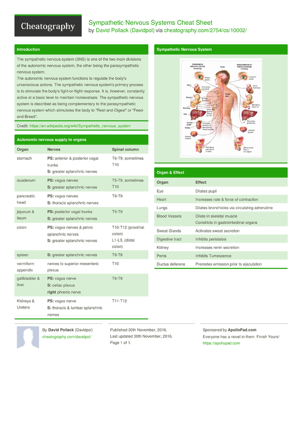 Sympathetic Nervous Systems Cheat Sheet by Davidpol - Download free ...